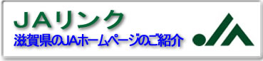 �i�`�����N