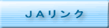 �i�`�����N