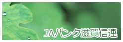 JAバンク滋賀信連